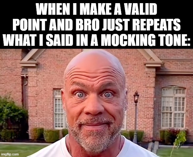Kurt Angle Stare | WHEN I MAKE A VALID POINT AND BRO JUST REPEATS WHAT I SAID IN A MOCKING TONE: | image tagged in kurt angle stare | made w/ Imgflip meme maker