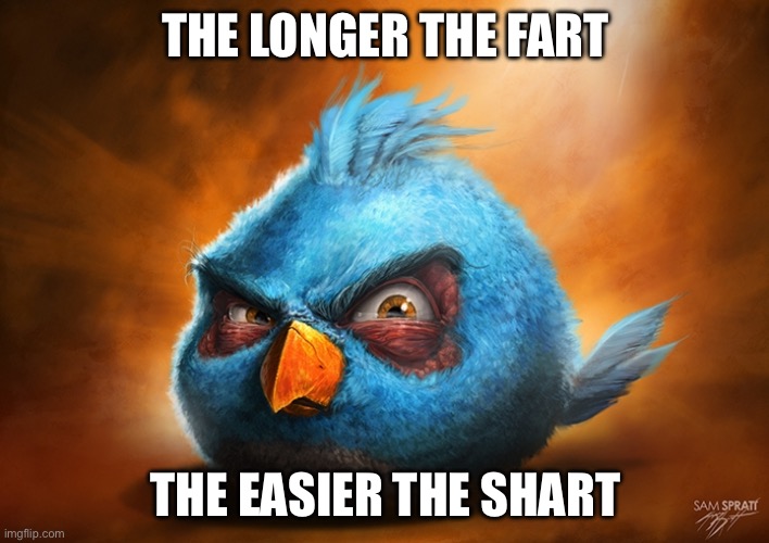 angry birds blue | THE LONGER THE FART THE EASIER THE SHAFT | image tagged in angry birds blue | made w/ Imgflip meme maker