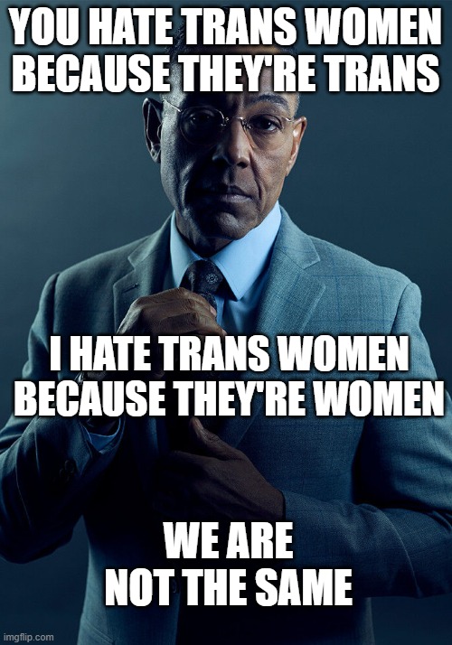 Gus Fring we are not the same | YOU HATE TRANS WOMEN BECAUSE THEY'RE TRANS; I HATE TRANS WOMEN BECAUSE THEY'RE WOMEN; WE ARE NOT THE SAME | image tagged in gus fring we are not the same | made w/ Imgflip meme maker