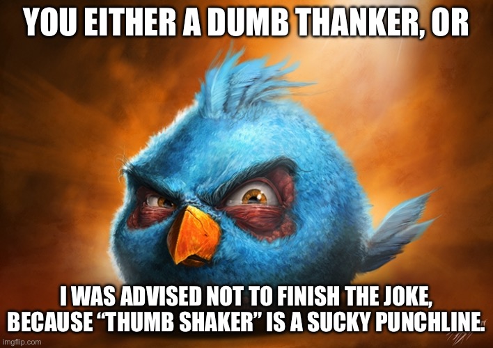 angry birds blue | YOU EITHER A DUMB THANKER, OR; I WAS ADVISED NOT TO FINISH THE JOKE, BECAUSE “THUMB SHAKER” IS A SUCKY PUNCHLINE. | image tagged in angry birds blue | made w/ Imgflip meme maker