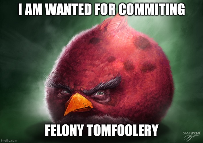 Real Terrence | I AM WANTED FOR COMMITING FELONY TOMFOOLERY | image tagged in real terrence | made w/ Imgflip meme maker