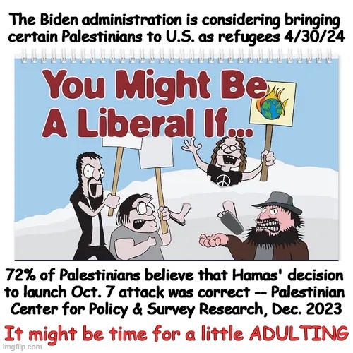 There is nothing more uncommon than common sense.  Frank Lloyd Wright | The Biden administration is considering bringing 
certain Palestinians to U.S. as refugees 4/30/24; 72% of Palestinians believe that Hamas' decision 
to launch Oct. 7 attack was correct -- Palestinian 
Center for Policy & Survey Research, Dec. 2023; It might be time for a little ADULTING | image tagged in palestine,terrorism,joe biden,refugees,political humor,adulting | made w/ Imgflip meme maker