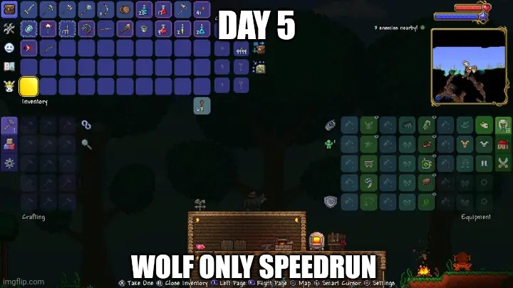 I got bored | DAY 5; WOLF ONLY SPEEDRUN | image tagged in terraria,gaming,video games,nintendo switch,screenshot | made w/ Imgflip meme maker