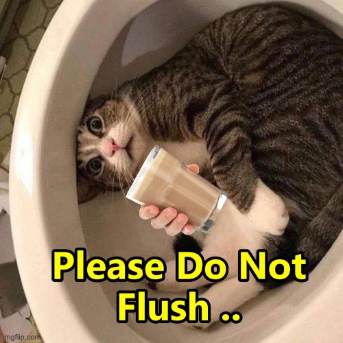 It’s. The problem in the toliet | image tagged in flush the magic cat | made w/ Imgflip meme maker