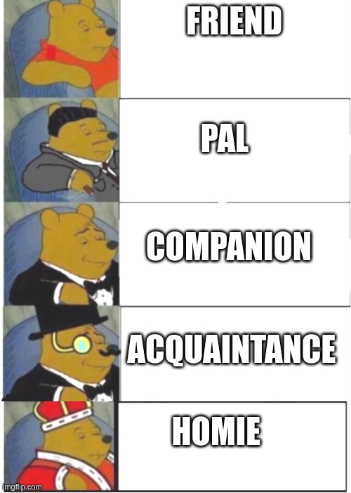 Whinnie the pooh fancy 5 | FRIEND; PAL; COMPANION; ACQUAINTANCE; HOMIE | image tagged in whinnie the pooh fancy 5 | made w/ Imgflip meme maker