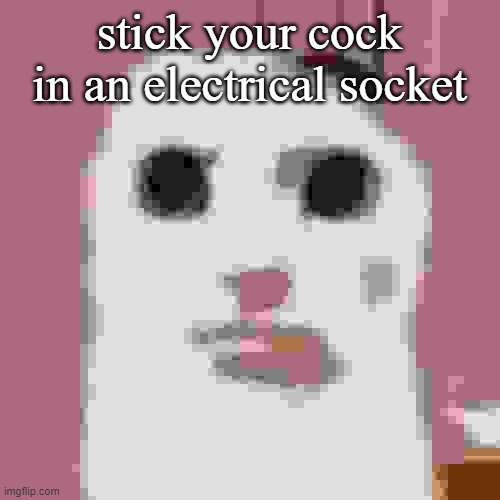 My honest reaction | stick your cock in an electrical socket | image tagged in my honest reaction | made w/ Imgflip meme maker