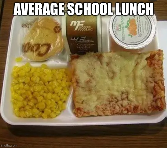 school lunch | AVERAGE SCHOOL LUNCH | image tagged in school lunch | made w/ Imgflip meme maker