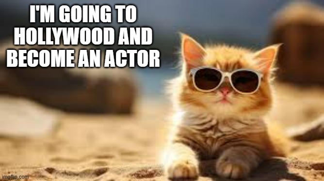 memes by Brad - gangs of kittens | I'M GOING TO HOLLYWOOD AND BECOME AN ACTOR | image tagged in funny,cats,funny cat memes,cute kittens,humor,hollywood | made w/ Imgflip meme maker