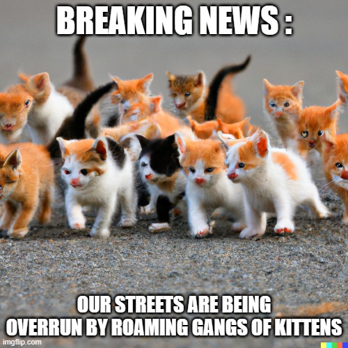 memes by Brad - kitten cat going to Hollywood | BREAKING NEWS :; OUR STREETS ARE BEING OVERRUN BY ROAMING GANGS OF KITTENS | image tagged in funny,cats,kitten,funny cat memes,breaking news,gangs | made w/ Imgflip meme maker