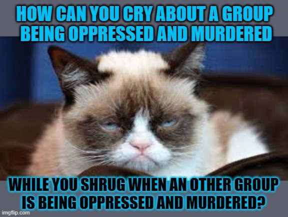 This #lolcat wonders why some hoo-mens don't care what happens to others | HOW CAN YOU CRY ABOUT A GROUP 
BEING OPPRESSED AND MURDERED; WHILE YOU SHRUG WHEN AN OTHER GROUP
IS BEING OPPRESSED AND MURDERED? | image tagged in racism,hypocrisy,crocodile tears,lolcat | made w/ Imgflip meme maker