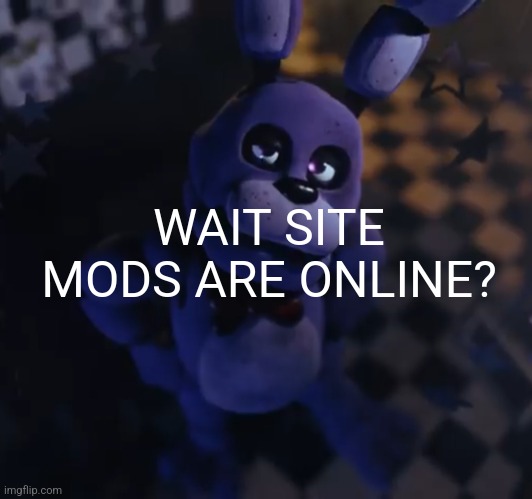 goofster | WAIT SITE MODS ARE ONLINE? | image tagged in goofster | made w/ Imgflip meme maker