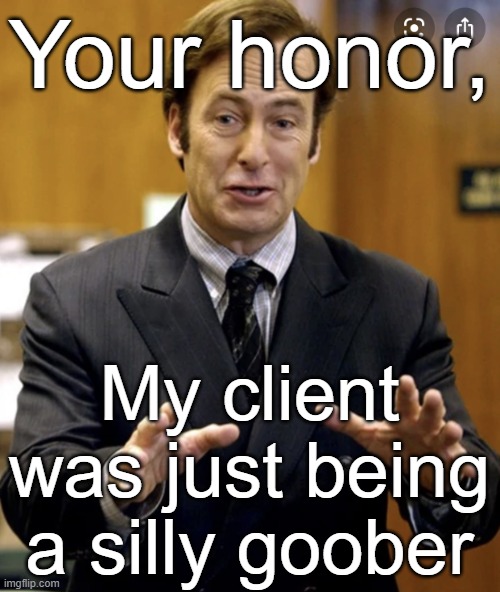 Your Honor, | Your honor, My client was just being a silly goober | image tagged in your honor | made w/ Imgflip meme maker