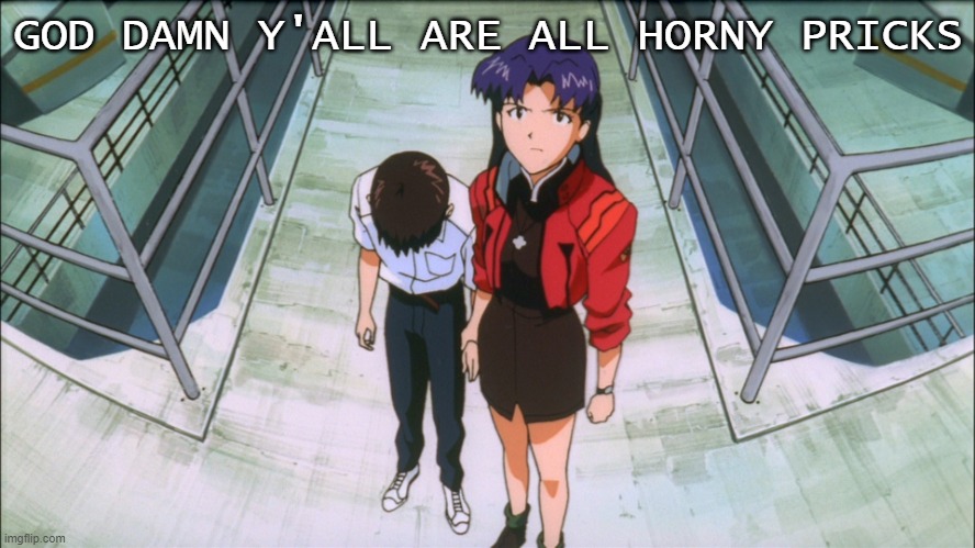 Misato and Shinji | GOD DAMN Y'ALL ARE ALL HORNY PRICKS | image tagged in misato and shinji | made w/ Imgflip meme maker