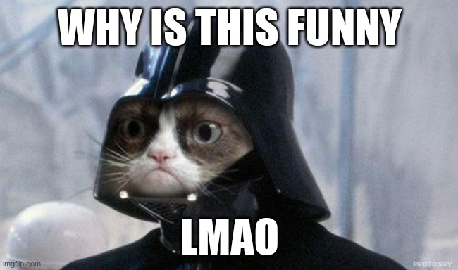 Grumpy Cat Star Wars | WHY IS THIS FUNNY; LMAO | image tagged in memes,grumpy cat star wars,grumpy cat | made w/ Imgflip meme maker