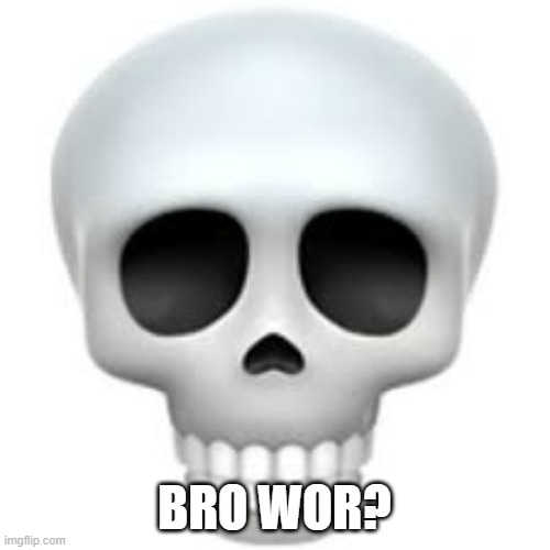 Skull | BRO WOR? | image tagged in skull | made w/ Imgflip meme maker