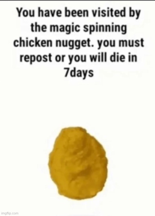 Sorry y’all I don’t wanna die | image tagged in chicken | made w/ Imgflip meme maker