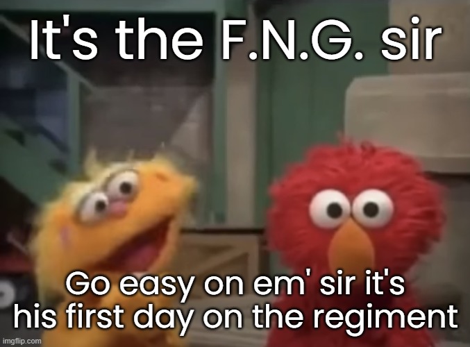 Elmo going through PTSD | It's the F.N.G. sir; Go easy on em' sir it's his first day on the regiment | image tagged in elmo going through ptsd | made w/ Imgflip meme maker