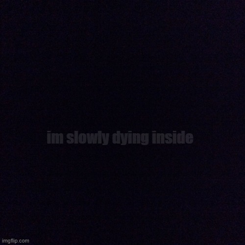 no caption | im slowly dying inside | image tagged in black screen,help me,help | made w/ Imgflip meme maker