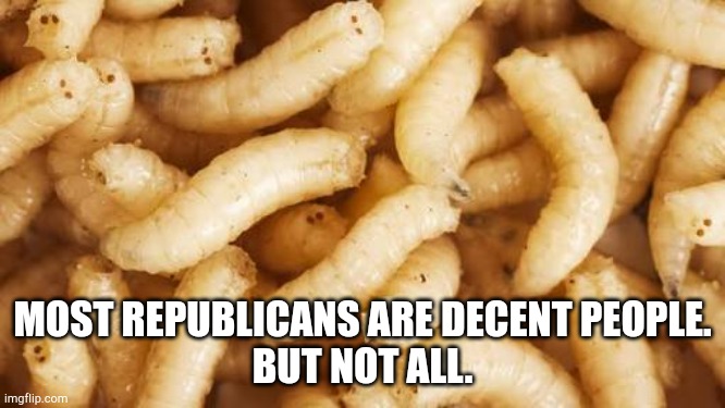 MAGAts | MOST REPUBLICANS ARE DECENT PEOPLE.
BUT NOT ALL. | image tagged in maggots | made w/ Imgflip meme maker