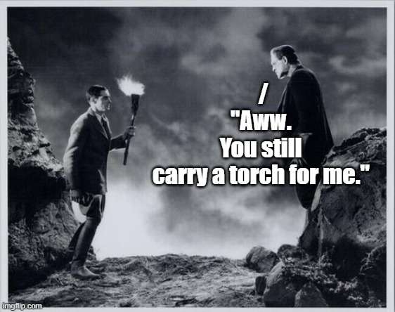 Frank my dear, he does give a damn | /
"Aww. 
You still 
carry a torch for me." | image tagged in puns | made w/ Imgflip meme maker