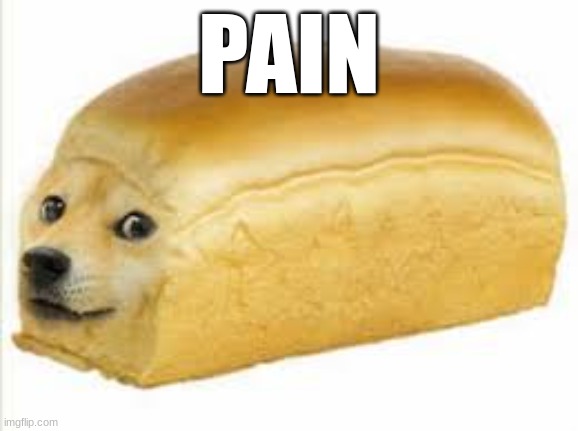 PAIN | image tagged in doge bread | made w/ Imgflip meme maker