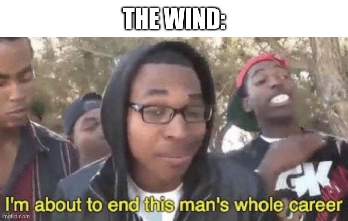 THE WIND: | image tagged in i m about to end this man s whole career | made w/ Imgflip meme maker