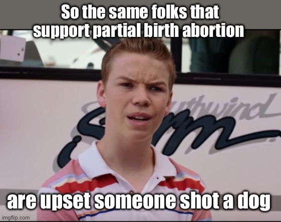 Post birth chicken thief abortion | So the same folks that support partial birth abortion; are upset someone shot a dog | image tagged in you guys are getting paid,politics lol,memes | made w/ Imgflip meme maker