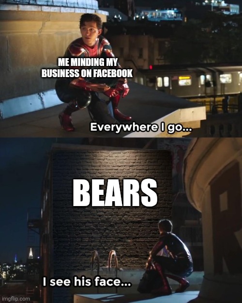 Why are so many people on the site so obsessed with bears??? | ME MINDING MY BUSINESS ON FACEBOOK; BEARS | image tagged in everywhere i go i see his face | made w/ Imgflip meme maker