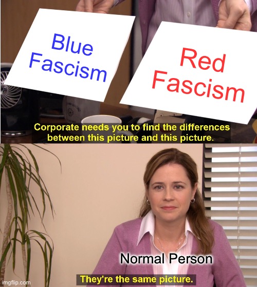They're The Same Picture | Blue Fascism; Red Fascism; Normal Person | image tagged in memes,they're the same picture,fascism,democrats,republicans | made w/ Imgflip meme maker