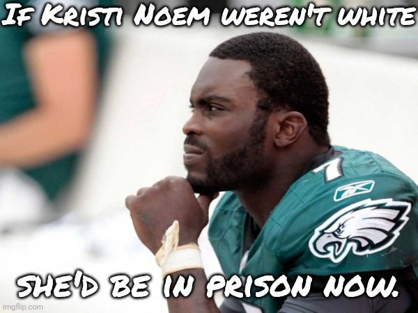 But she's being considered as a vice presidential candidate. | If Kristi Noem weren't white; she'd be in prison now. | image tagged in michael vick,animal rights,dogs,goat,cruel | made w/ Imgflip meme maker