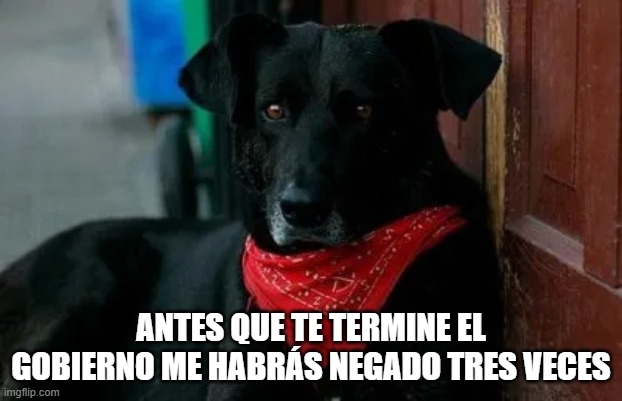 8osa4g.jpg