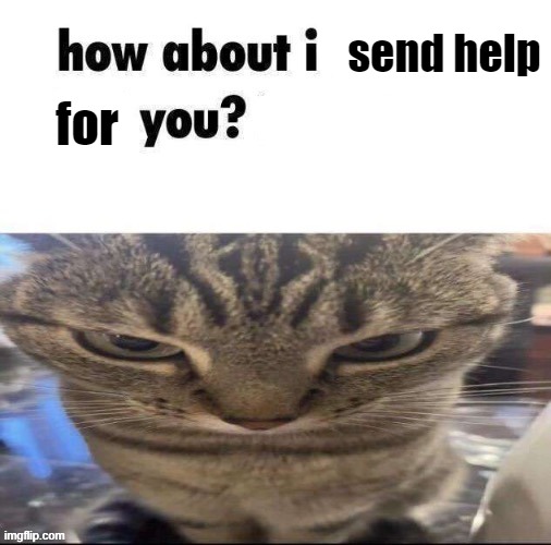 sound good? | for; send help | image tagged in fuck | made w/ Imgflip meme maker