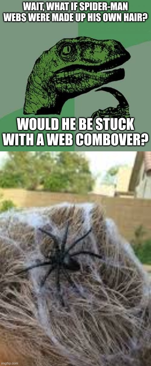 wait | WAIT, WHAT IF SPIDER-MAN WEBS WERE MADE UP HIS OWN HAIR? WOULD HE BE STUCK WITH A WEB COMBOVER? | image tagged in memes,philosoraptor,spooderman | made w/ Imgflip meme maker