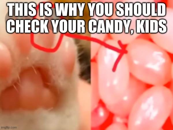 The truth about the food we eat | THIS IS WHY YOU SHOULD CHECK YOUR CANDY, KIDS | image tagged in cat beanies,jellybean | made w/ Imgflip meme maker