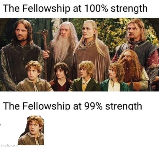 The Fellowship at 99 Percent | image tagged in the fellowship at 99 percent | made w/ Imgflip meme maker