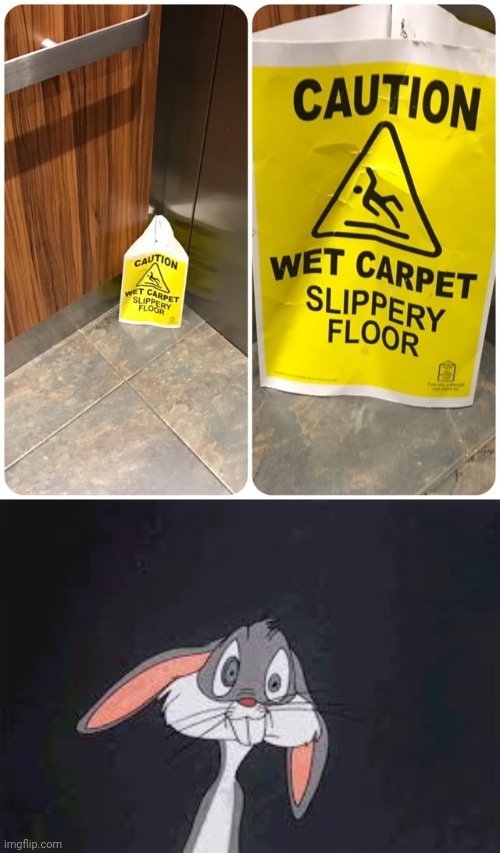"Wet carpet, slippery floor" | image tagged in bugs bunny huh,carpet,floor,you had one job,memes,floors | made w/ Imgflip meme maker