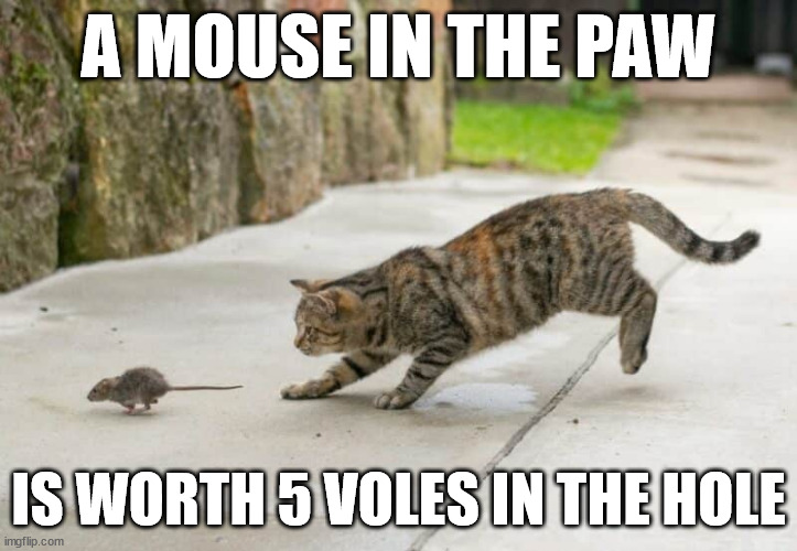 Mouse in the Paw | A MOUSE IN THE PAW; IS WORTH 5 VOLES IN THE HOLE | image tagged in mouse,vole | made w/ Imgflip meme maker