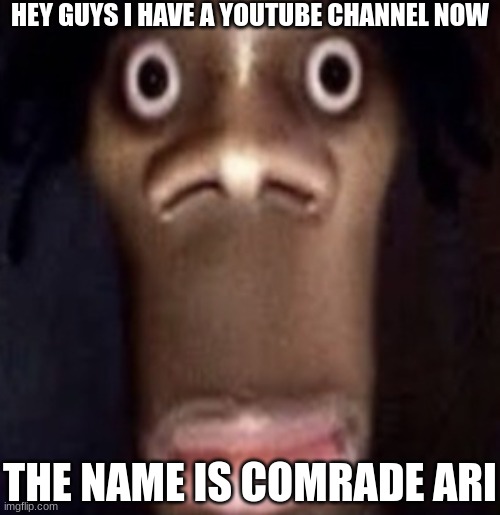not a joke | HEY GUYS I HAVE A YOUTUBE CHANNEL NOW; THE NAME IS COMRADE ARI | image tagged in quandale dingle | made w/ Imgflip meme maker