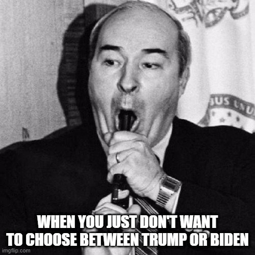 Just Budd Yourself | WHEN YOU JUST DON'T WANT TO CHOOSE BETWEEN TRUMP OR BIDEN | image tagged in politics | made w/ Imgflip meme maker