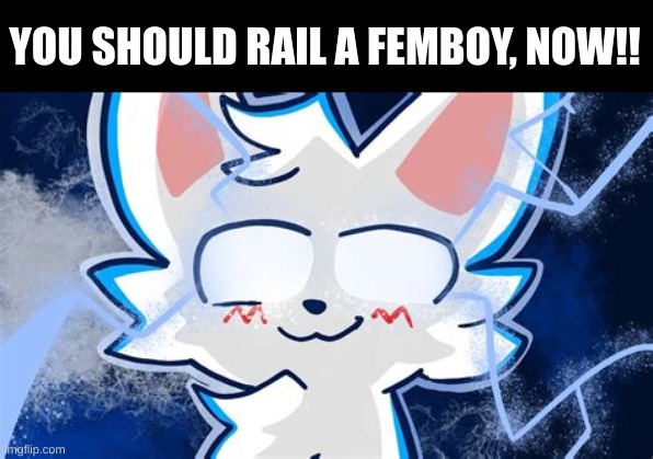 Im such a silly lil goober right? >w0 | YOU SHOULD RAIL A FEMBOY, NOW!! | image tagged in boykisser meme,i have kids in my basement,truly an owo moment,i like femboys | made w/ Imgflip meme maker