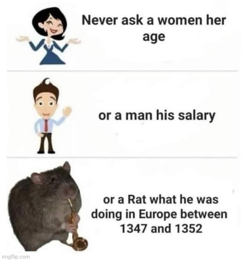 From facebook | image tagged in rat,scratch | made w/ Imgflip meme maker
