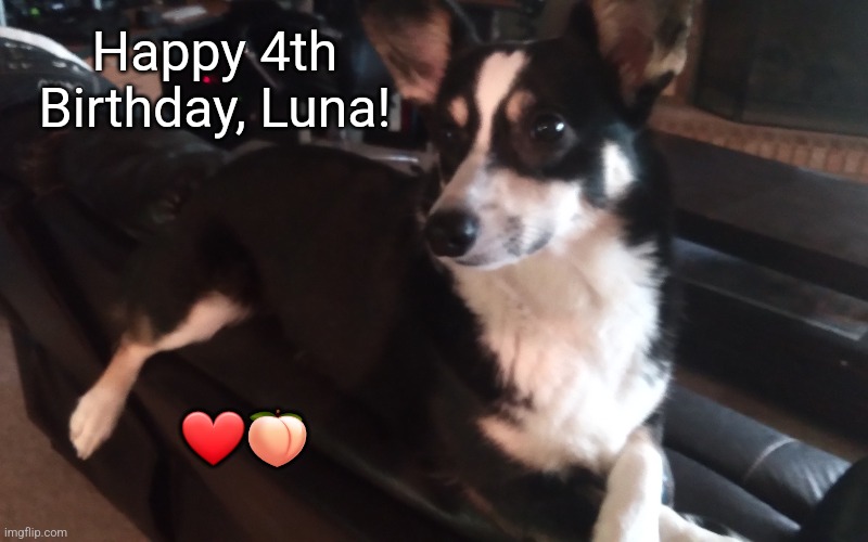 The young and the restless <3 | Happy 4th Birthday, Luna! ❤️🍑 | made w/ Imgflip meme maker