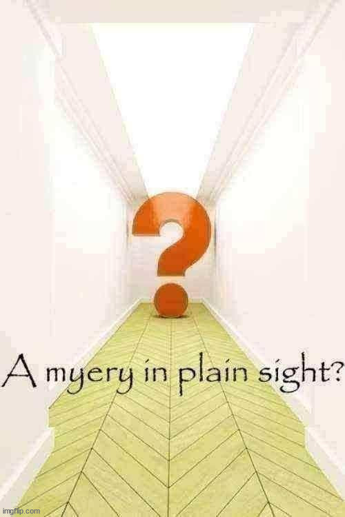 A myery in plain sight | image tagged in a myery in plain sight | made w/ Imgflip meme maker