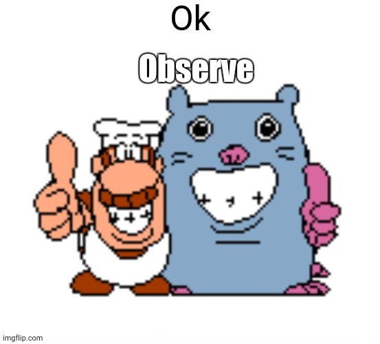 gustavo and brick | Ok Observe | image tagged in gustavo and brick | made w/ Imgflip meme maker