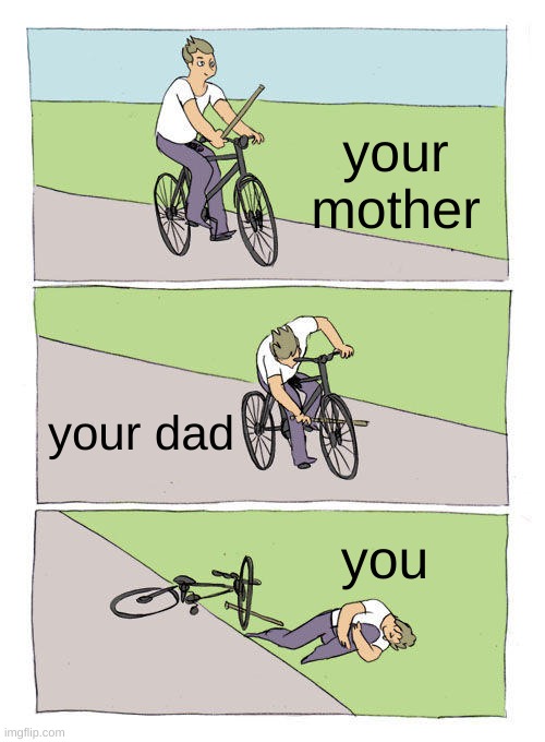Bike Fall Meme | your mother; your dad; you | image tagged in memes,bike fall | made w/ Imgflip meme maker