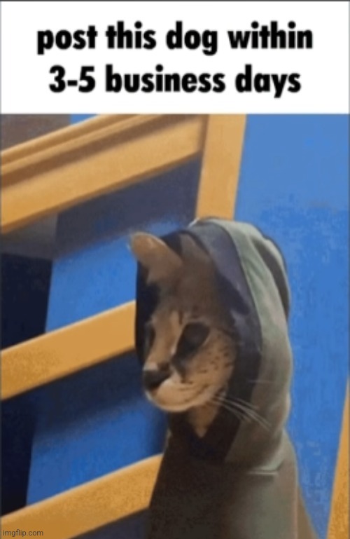 Posted in 3 business days. | made w/ Imgflip meme maker