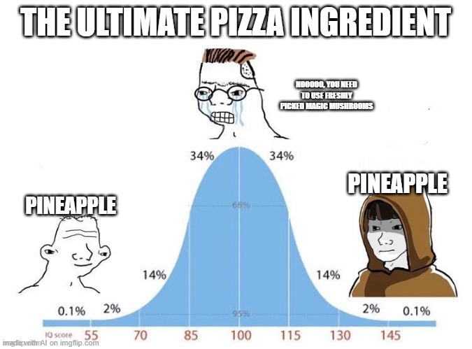 bell curve | THE ULTIMATE PIZZA INGREDIENT; NOOOOO, YOU NEED TO USE FRESHLY PICKED MAGIC MUSHROOMS; PINEAPPLE; PINEAPPLE | image tagged in bell curve | made w/ Imgflip meme maker