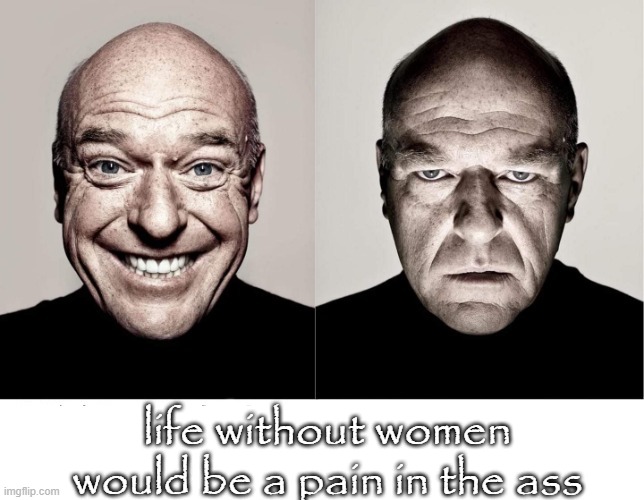 lol! | life without women would be a pain in the ass | image tagged in breaking bad smile frown,memes,funny,gifs,offensive,homosexual | made w/ Imgflip meme maker