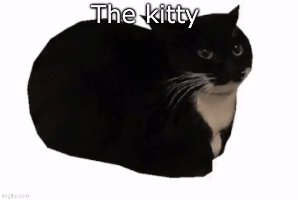 maxwell the cat | The kitty | image tagged in maxwell the cat | made w/ Imgflip meme maker