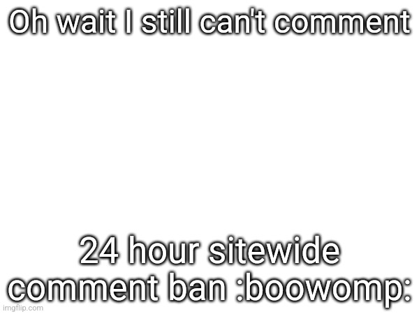 Oh wait I still can't comment; 24 hour sitewide comment ban :boowomp: | made w/ Imgflip meme maker